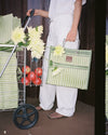 EAU BAGS - Errands - kiwi