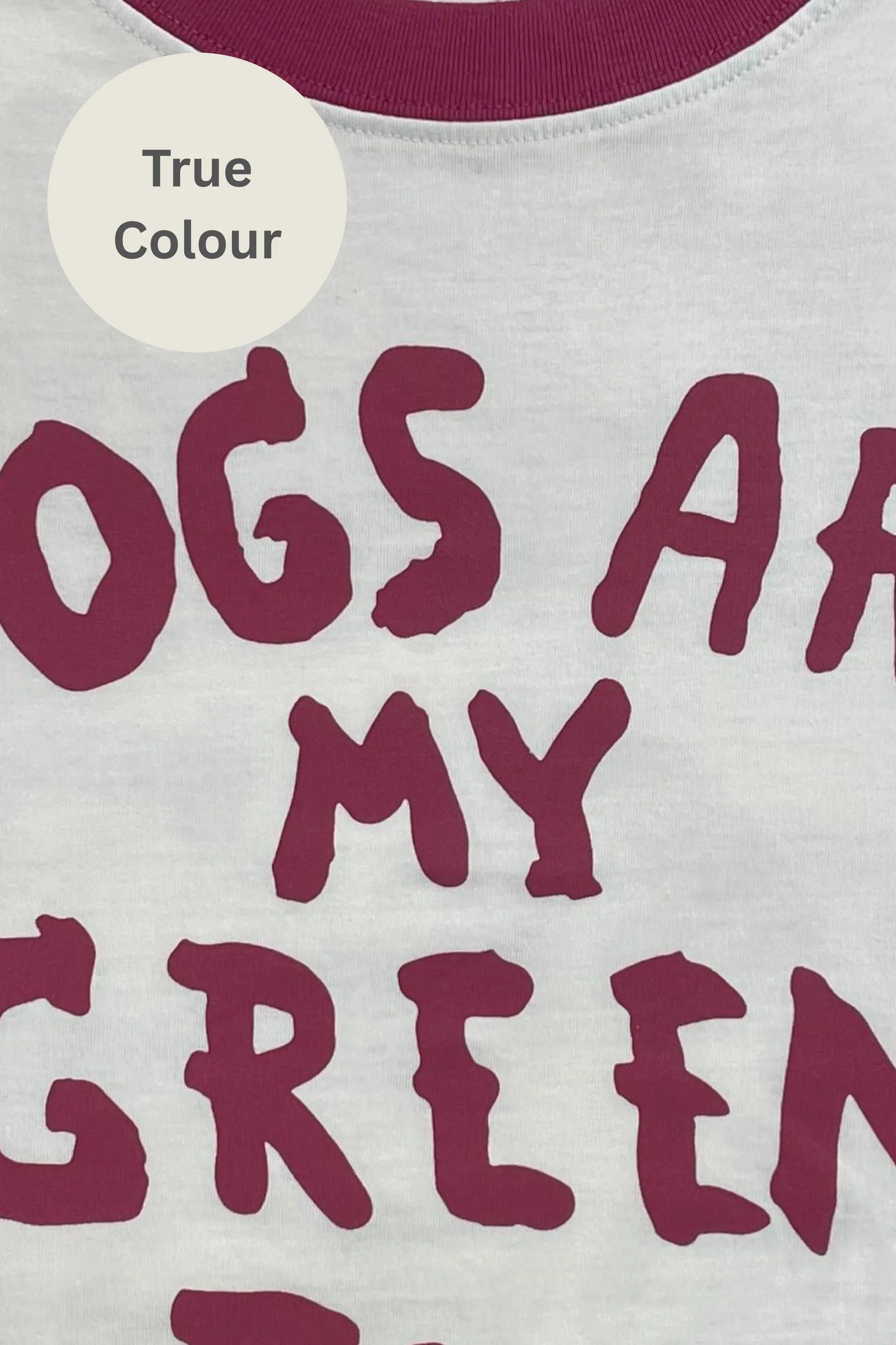 Sabbi - Greenflag tee - off white